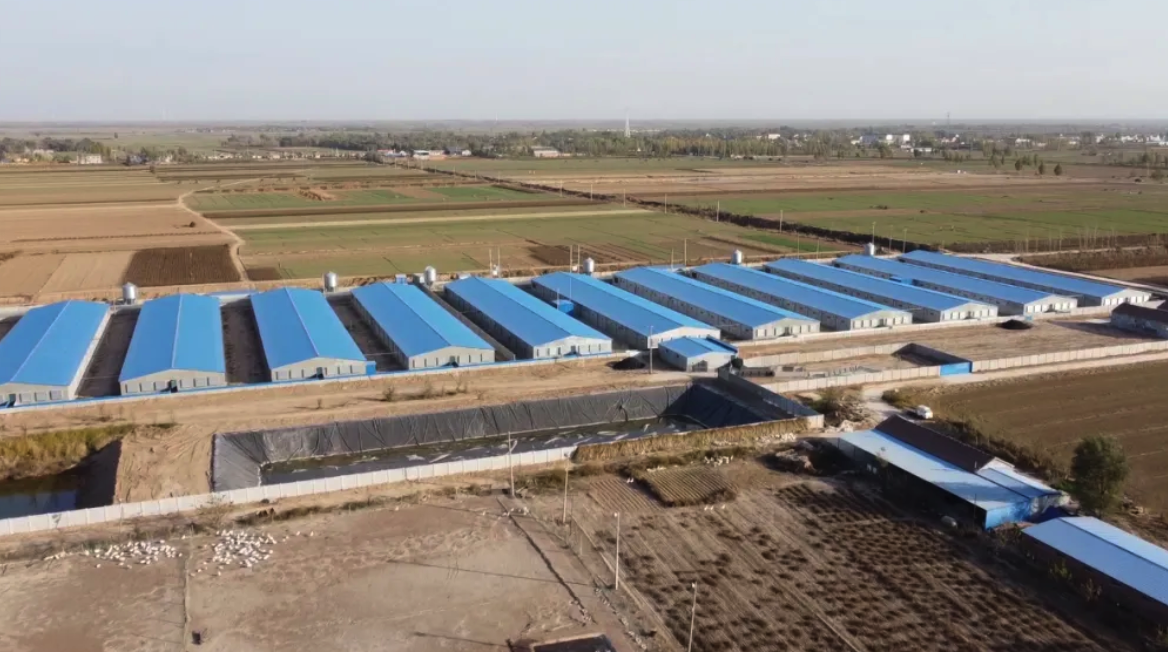  這幾類集體土地遇到征收，這些關鍵點一定要關注！ 